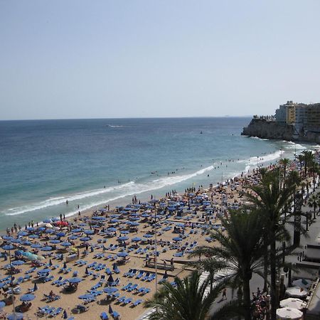 Mediterraneo بينايدورم المظهر الخارجي الصورة